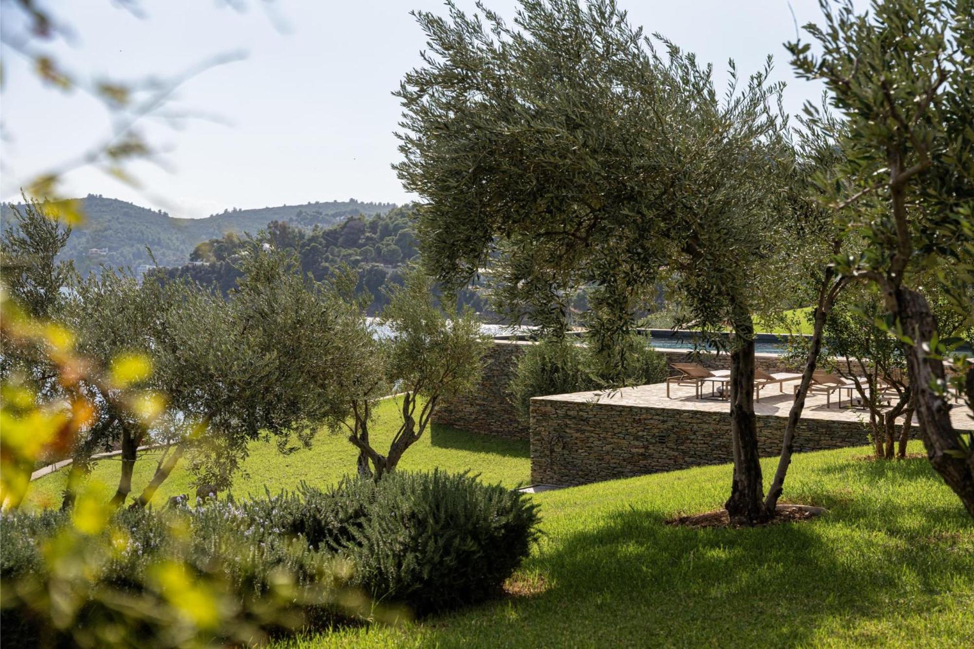 Pelagoon Skiathos Achladies (Skiathos) Quarto foto